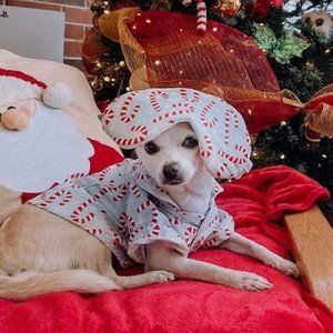 Lucy and Co Limited Edition! Holiday Dog Pajamas + Human Eye Pillow